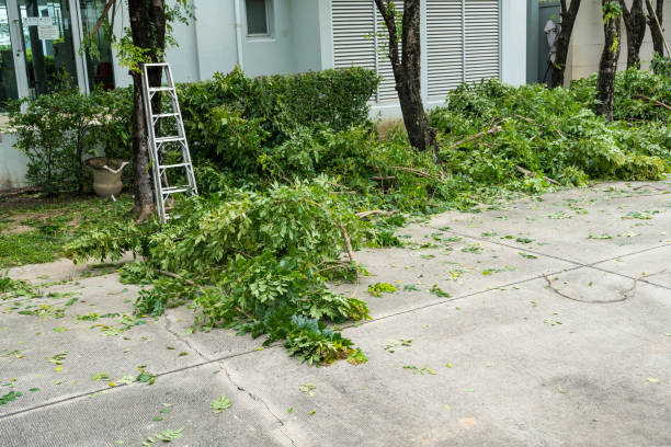 Best Storm Damage Tree Cleanup  in Elysburg, PA